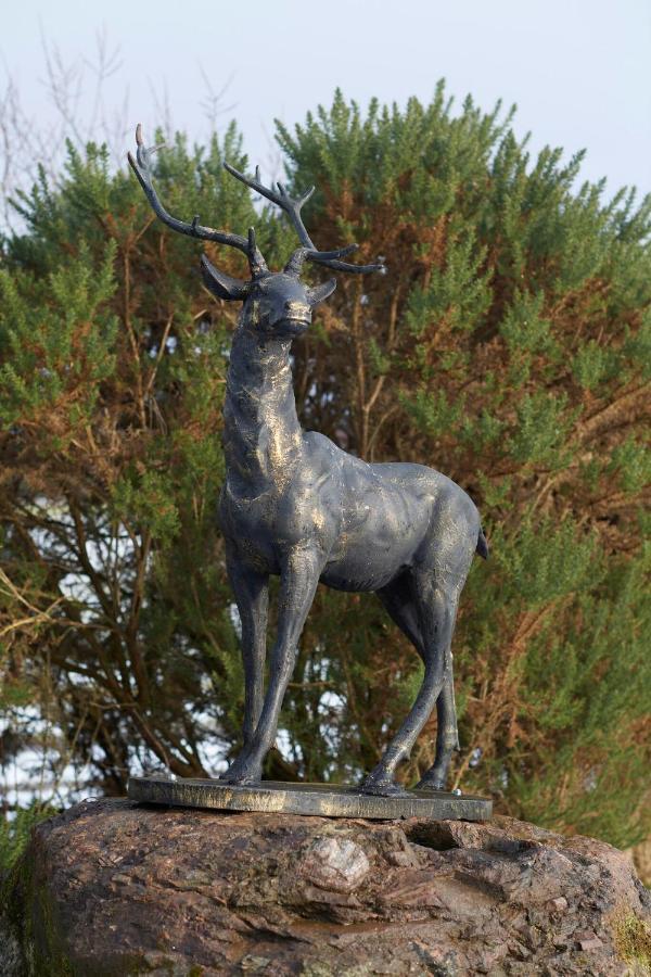 Daviot Lodge 외부 사진